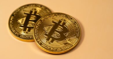 Pourquoi le Bitcoin attire les investisseurs